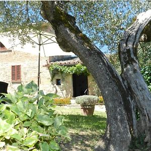 Castigliona Cetona Siena Villa Le Piazze Exterior photo