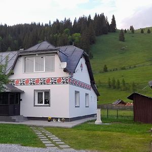 Casa Dumitru Si Elena Ciocanesti Bucovina Villa Exterior photo