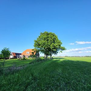 Bed & Breakfast De Vink Bed and Breakfast Terschuur Exterior photo