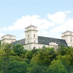 Hotel Zámek Račice Exterior photo