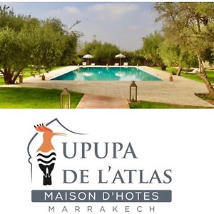 Hotel Upupa De L'Atlas Marrakesh Exterior photo