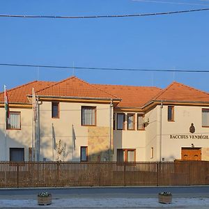 Hotel Bacchus Vendégház Erdőbénye Exterior photo