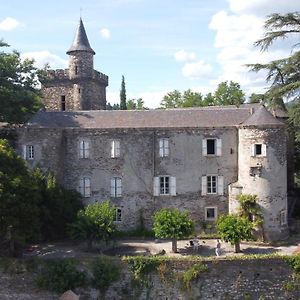 Le Chateau De Cambiaire Bed and Breakfast Saint-Etienne-Vallee-Francaise Exterior photo