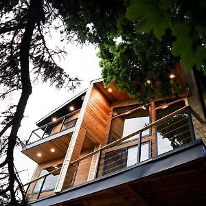 Luxury Alpine Treehouse Villa Holladay Exterior photo