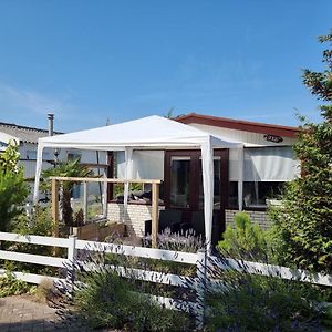 Lazy Cabin Near Hoek Van Holland Beach Villa Exterior photo