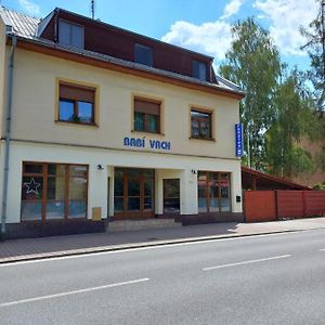 Hotel penzion BABÍ VRCH Frýdlant nad Ostravicí Exterior photo