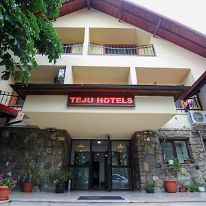 Teju Hotels Slănic Exterior photo