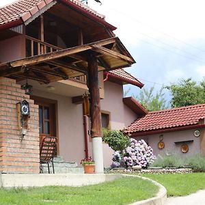 Casa Darius Villa Novaci-Străini Exterior photo