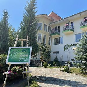 Hotel Pensiunea La Mesteceni -Zur Birke, Poiana Marului-Caras Severin Exterior photo