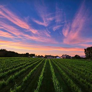 Llanerch Vineyard Hotel Hensol Exterior photo