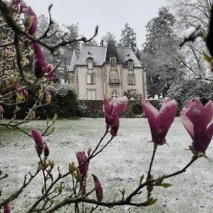 Chateau Maleplane Bed and Breakfast Saint-Léonard-de-Noblat Exterior photo