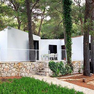 Seaside House For Families With Children Ivan Dolac, Hvar - 140 Exterior photo