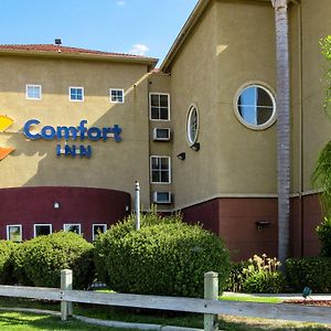 Comfort Inn Lathrop Stockton Airport Exterior photo