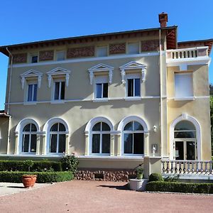 Hotel Chateau Blanchard Chazelles-sur-Lyon Exterior photo