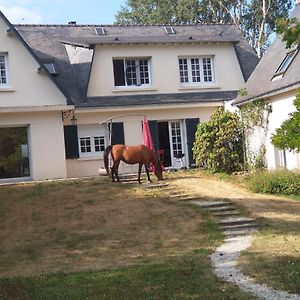 La Fantasia Bed and Breakfast Verrieres-en-Anjou Exterior photo