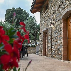 Il Casale del Barone Bed and Breakfast San Giovanni a Piro Exterior photo