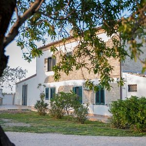 Masseria Piana Cimino Bed and Breakfast Pietra Montecorvino Exterior photo