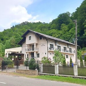 Hotel Vila Tisa Tismana Exterior photo