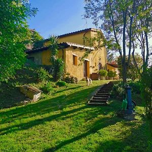 Casale Druida Bed and Breakfast Poggio Mirteto Exterior photo