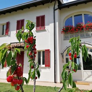 la Mafalda in Oltrepo Bed and Breakfast Codevilla Exterior photo