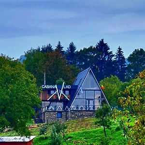 Cabana Vlad Maramures Villa Deseşti Exterior photo