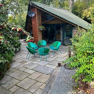 Appartamento The Shed . A Cosy, Peaceful, 96% Recycled, Chalet. Swansea Exterior photo