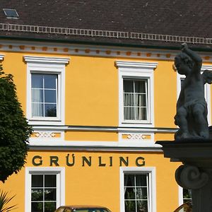 Hotel Gasthof Gruenling Wallsee Exterior photo