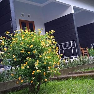 Anak Rinjani Guest House Senaru Exterior photo