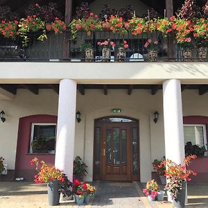 Hotel Arkadia Gosciniec-Klima,Parking,Ogrod Opole Exterior photo