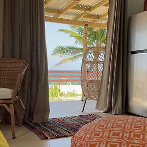 Appartamento Casita Del Mar Oceanfront Romantic Retreat In Islote Arecibo Exterior photo