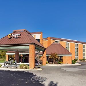 Comfort Inn Virginia Horse Center Lexington Exterior photo