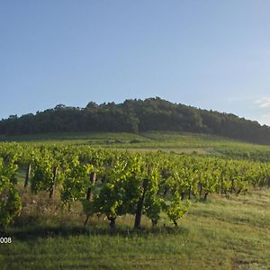 La Maison Du Vigneron Villa Ternand Exterior photo