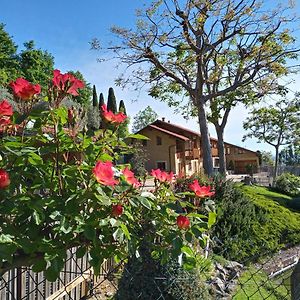 L'Albore Bed and Breakfast Costigliole Saluzzo Exterior photo