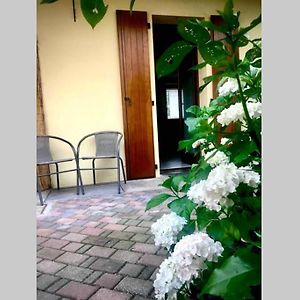 Appartamento 30&Lode, Mini In Zona Tranquilla Udine Exterior photo