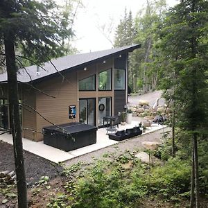 55 Impasse - Chalet Taiga With A Hot Tub In Tremblant Nord Villa Lac-Superieur Exterior photo
