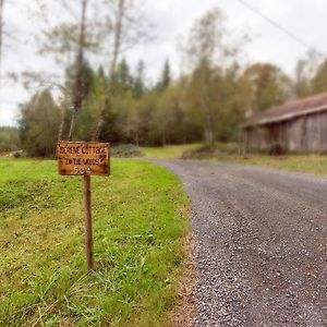 Serene Cottage In The Woods Kelso Exterior photo