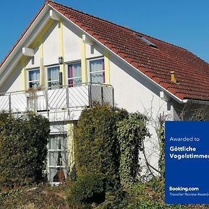 Appartamento Goettliche Vogelstimmen Gaeste Aus 57 Nationen Bad Boll Exterior photo