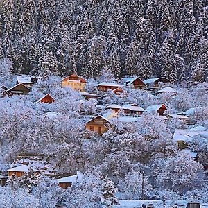 Hotel Friendly House Borjomi Exterior photo