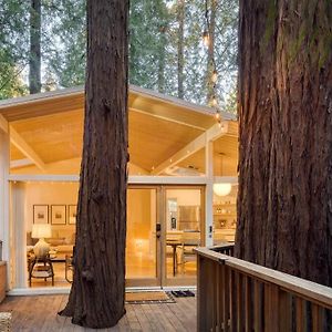 Window To The Redwoods - Near Downtown Mv, Dipsea Trail, & Muir Woods Villa Mill Valley Exterior photo