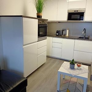 Appartamento Apartament Pod Radiostacja -Gliwice Tarnogorska, Parking, Klimatyzacja Exterior photo