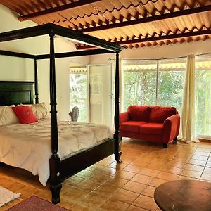 Olp Treehouse Cerro Azul Bed and Breakfast Exterior photo