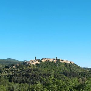 Locazione Turistica La Suite del Benessere Seggiano Exterior photo