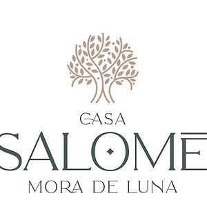 Casa Salomé - Mora de Luna Vega de Caballeros Exterior photo