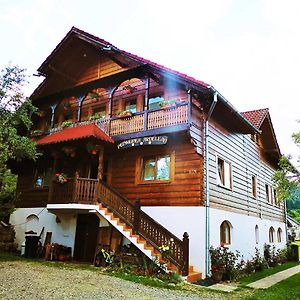 Hotel Pensiunea Ardelean Vadu Izei Exterior photo