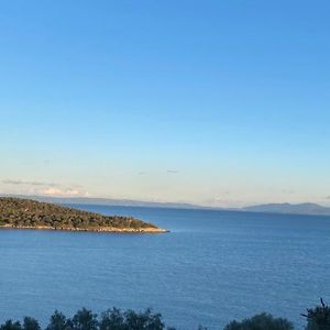 The Bower - Volos Free Diving Lesson Villa Marathos  Exterior photo