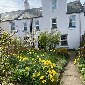 Bamse B&B Montrose Exterior photo