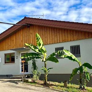 Hotel Pension Am Hohberghof Dielheim Exterior photo