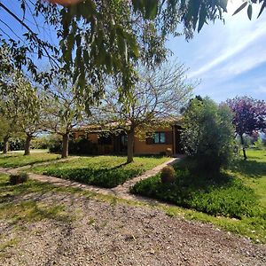 Locazione Turistica Ovest Villa Castellaccia Exterior photo