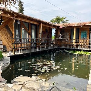 Artists Cellar in Telavi Villa Exterior photo