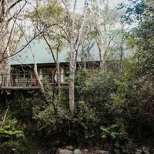 Rockwood Karkloof Forest Lodge & Mountain Cabin Yarrow Exterior photo